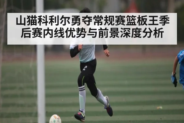 山猫科利尔勇夺常规赛篮板王季后赛内线优势与前景深度分析